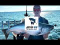 Salmon Fishing Lake Ontario 2024! (Chasing Chrome Ep.10)