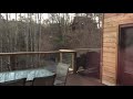 Black bear in our hot tub in Gatlinburg, TN