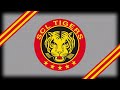 SCL Tigers Goal Song 2009-2017