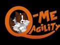 Q-Me Agility - RETRIEVE