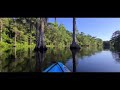 Kayaking the Swamp Lands of Florida Spring 20/20