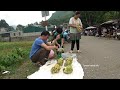 The chickens were sold out at high price. Robert | Green forest life