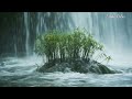 Melodic Piano sound, Gentle, Pleasant, Relaxing the mind, Beautiful natural scenery