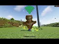 Totem of unduing with different internet in Minecraft