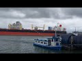 Navio gigante de carga chegando em Porto de Santos são Paulo veja como é lindo deixe seu like