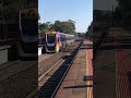 Velocity train from Seymour