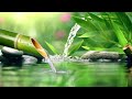 Soothing Relaxation: Relaxing Piano Music, Sleep Music, Water Sounds, Relaxing Music, Meditation