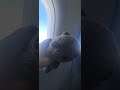 horrendous take-off