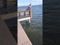 My uncle fights against an unknown monster (The boys day at the pier Part 1/3)