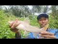 Mancing ikan baung. Di sungai kecil ini ikannya besar besar. Hampir tak masuk akal??