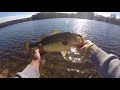 Largemouth Bass On Keitech Swimbait