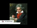 The Best of Beethoven 🎻🎻 No Copyright Music Playlist
