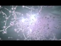 Superbodies - PLAYFIGHT VFX REEL