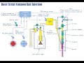 Basic Circuit Common Rail Injection Engine