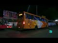 ബസ് തടഞ്ഞുനിർത്തി കടുവ | kottayam to bangalore | Bandipur Mudumalai Forest Ksrtc Night Bus | free20