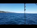 Cruise across Lake Tahoe aboard M.S. Dixie II to Emerald Bay.