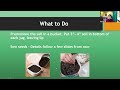 How to Start Seeds Outdoors in the Winter with Master Gardener Bea Helft