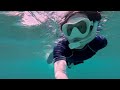 What Lies in Aguni Island's Dark Waters? Snorkeling Adventure!