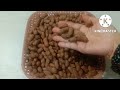 Cara rebus kacang tanah empuk dan hasilnya tidak basah