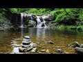 1 Hour of Relaxing River Sounds - Flowing Water and Forest Creek Ambience 🏞️