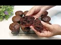 The most  EASIEST and SIMPLEST loaded chocolate MUFFINS without egg