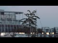 Ursa Mini 4K test footage ProRes 4444