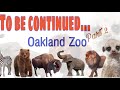 OAKLAND ZOO during the PANDEMIC! Fun tour with Kids | Part 1 #oaklandzoo