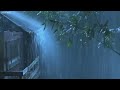 Rain and thunderstorms for deep sleep in less than 5 minutes - The sound of rain in the foggy forest
