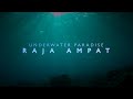 An Underwater Paradise (Official Trailer)