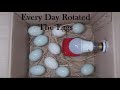 Home made Egg Incubator Very Easily | How To Make An Incubator Duck Eggs