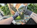 How to Spray-Paint a Photorealistic Squirrel on a Public Electric Box