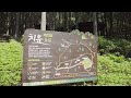 [#랜선걷기] 부산 동구 ' 구봉산 치유숲길 1코스 ' Busan Gubong-san Healing Forest Road