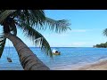 Tropic View 🌴 Relaxing Soft Waves and Quiet Birdsong 🐦 ASMR Sleep Aid in 4K 😴