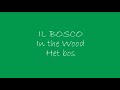 IL BOSCO - IN THE WOOD - HET BOS