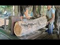 2.75 meters, the largest and most expensive quality monster teak wood in the world //sawmill factory
