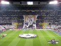 Ultras Sur Hooligans Real Madrid