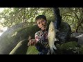 3 hari Mancing Bermalam Di hutan Yang belum terjamah !! Panen banyak ikan sultan