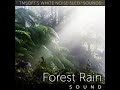 Forest Rain Sound