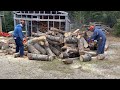 The Harnish men cutting wood together