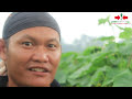 Bermodal Semangat Yusuf Nabani, Sukses Menjadi Petani Di Bogor