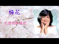 鄧麗君Teresa Tenge經典歌曲＂梅花＂StarMaker翻唱MV Lyrics