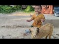 shocking incident: Boy's playtime with Goats baby|boy play with goats