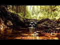 Ultimate Stress Relief - Meditation and Anxiety Reduction, Soothing Music for Relaxation
