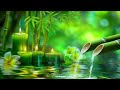 Beautiful Piano Music 🌿 Bamboo, Relaxing Music, Relieves Stress Music, Calming music, Nature Sounds