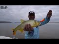 RIO DE FONDO - PESCA VARIADA EN BRUGO