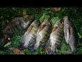 2 Jam Menjaring Ikan Di Danau Hasilnya Luar Biasa || Jaring Ikan Di malam Hari