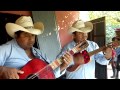 LA GUAYABITA, TRIO RINCON HUASTECO DE PISAFLORES IXHUATLAN DE MADERO VERACRUZ...