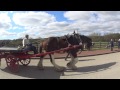 Beamish - Horses at work