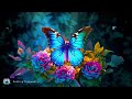 Just listen and attract miracles to your life - you are ready for a better life - butterfly effect