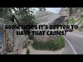 Eye Of A Needle. He Only Said Difficult, Not Impossible! Needles Highway. Custer State Park. SD.